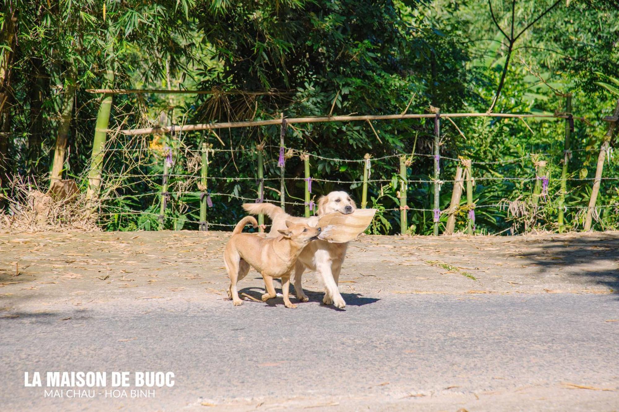 La Maison De Buoc ไหมโจ๋ว ภายนอก รูปภาพ